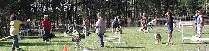 K9Kapers Dog Agility Training